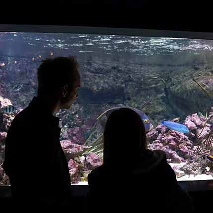 Tickets Paris Aquarium Eintrittkarten