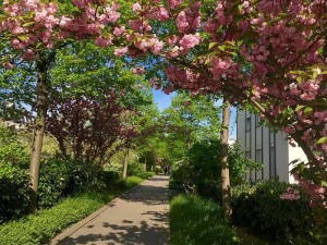 Coulee Verte Paris