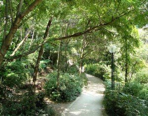 Promenade Plantee Paris