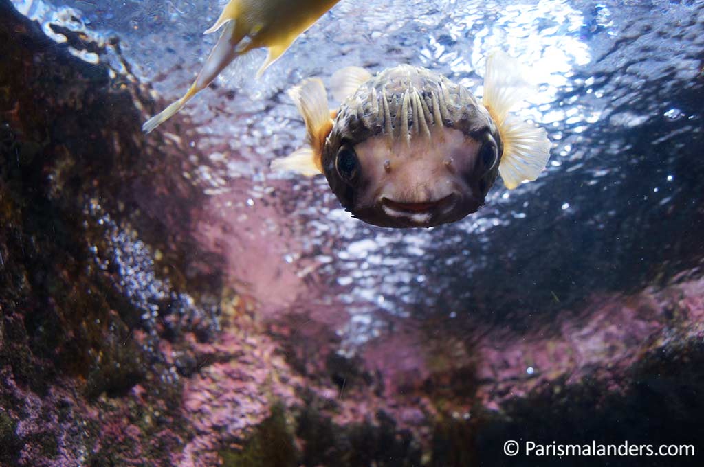 Aquarium Paris