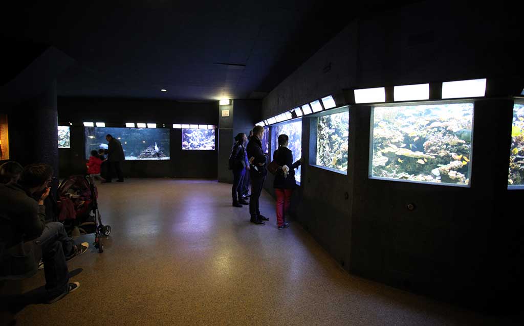 Aquarium Paris Porte Dorée