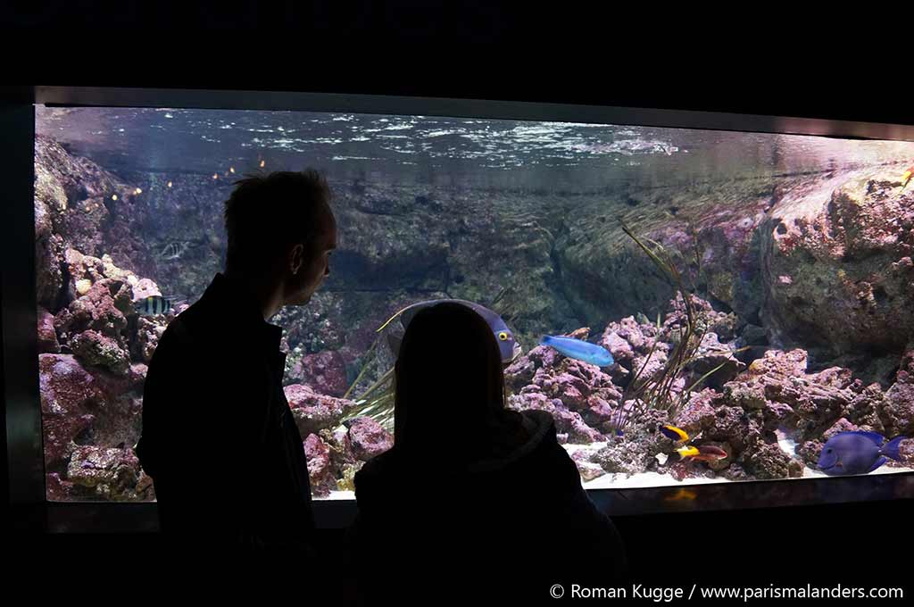 Aquarium de Paris