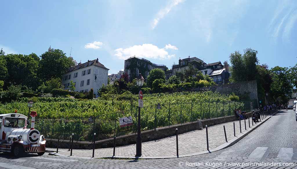 Weinberg in Montmartre Paris