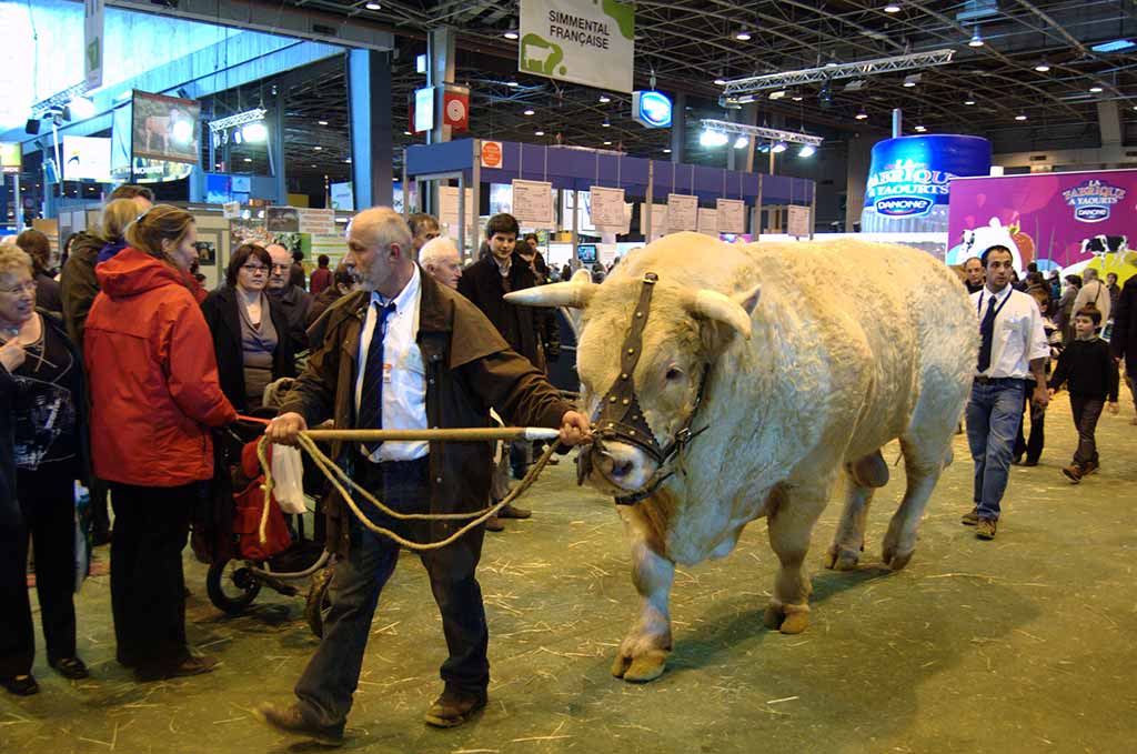 Salon de l’Agriculture Landwirtschaftsmesse Paris | Paris mal anders