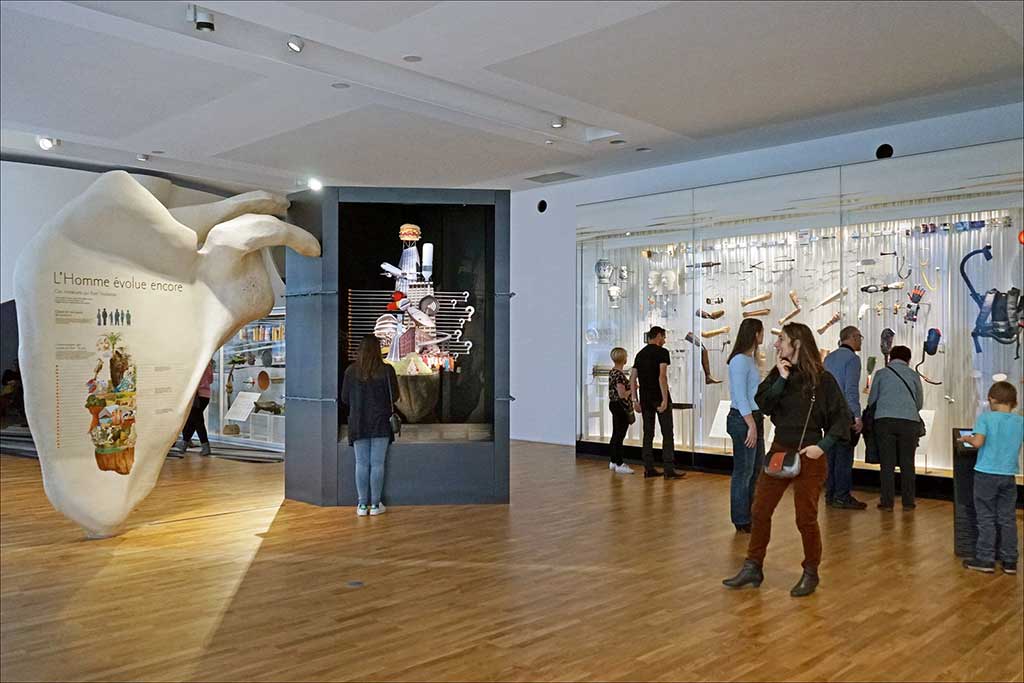 Musée de l'Homme in Paris Ausstellung