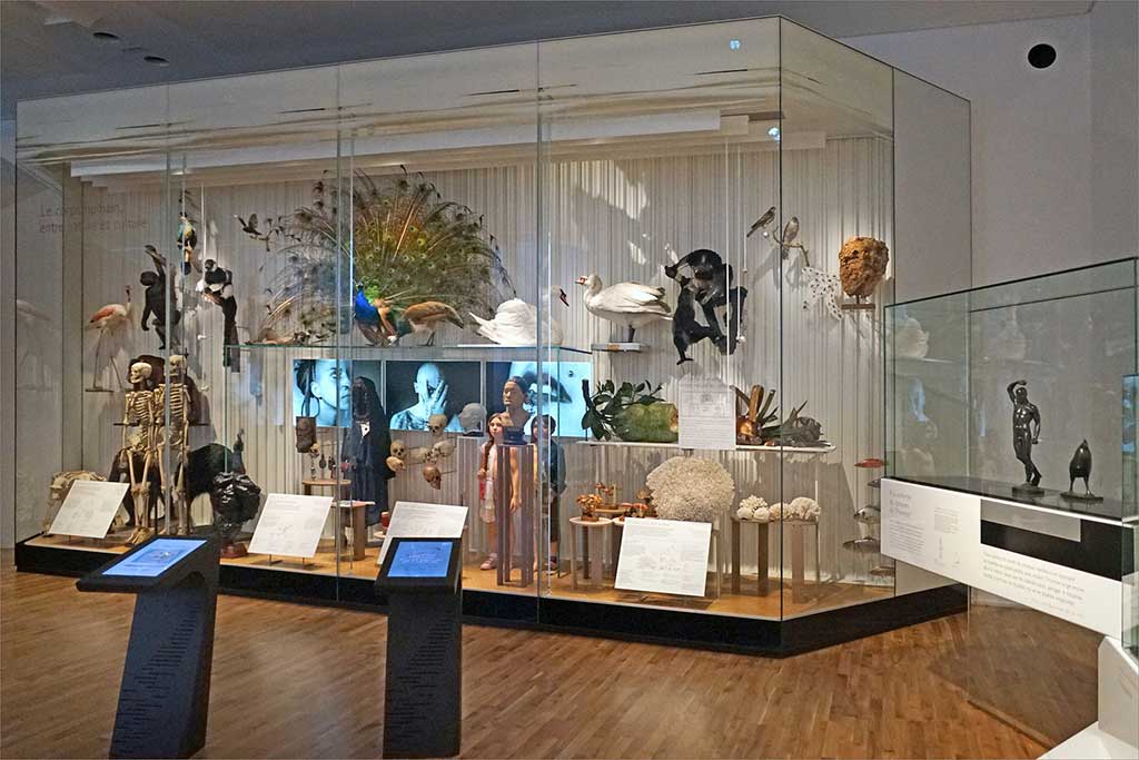 Musée de l'Homme in Paris Ausstellung