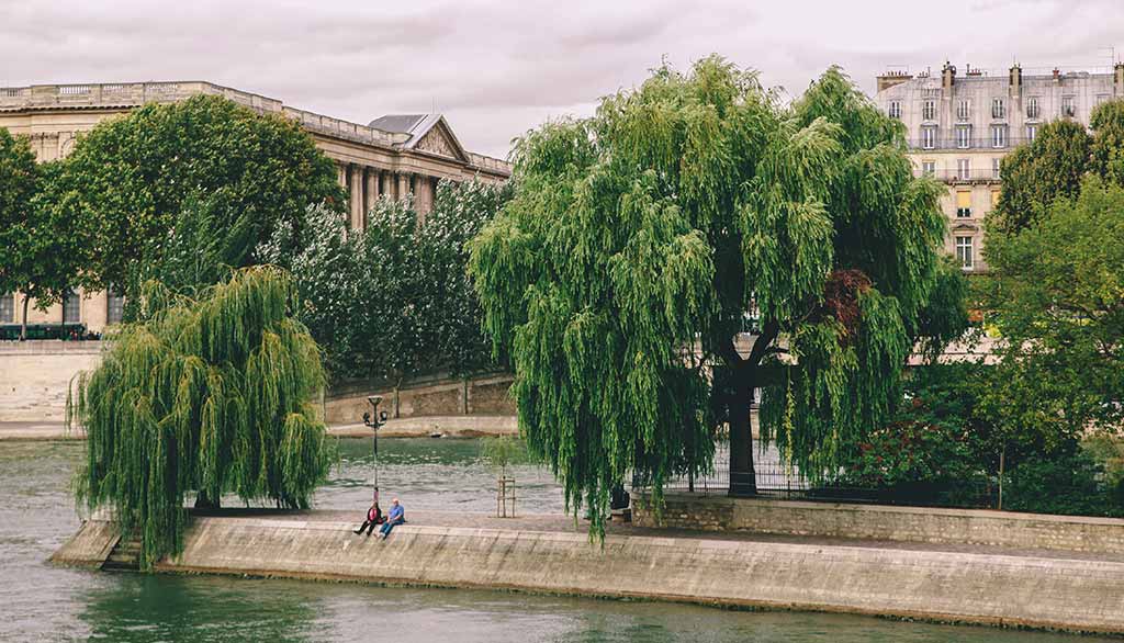 Spitze Ile de la Cité Square du Vert Galant